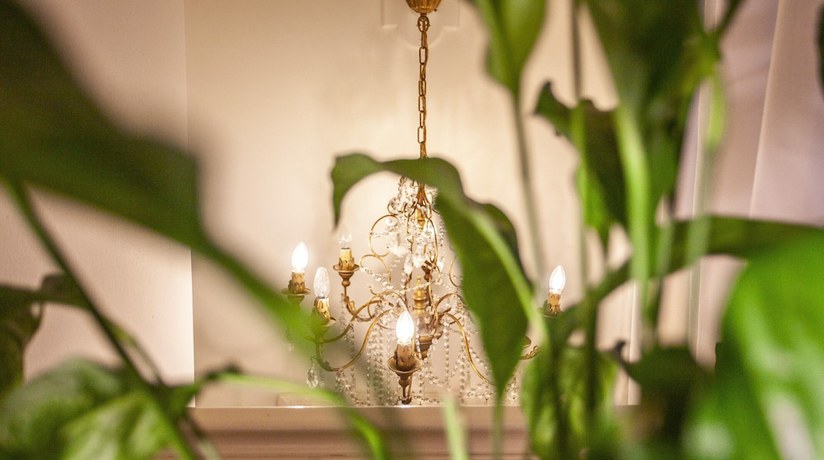Imagen de la habitación del Locanda dei Cinque Cerri. Foto 7