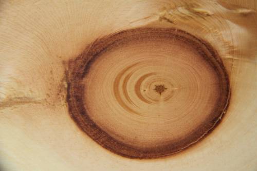 Imagen de la habitación del Lodge Am Krippenstein. Foto 13