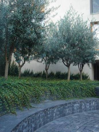 Imagen general del Loft Sabadell. Foto 6