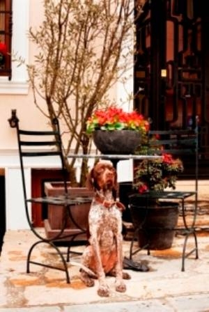 Imagen general del Lokum Ev Suites Beyoglu. Foto 14