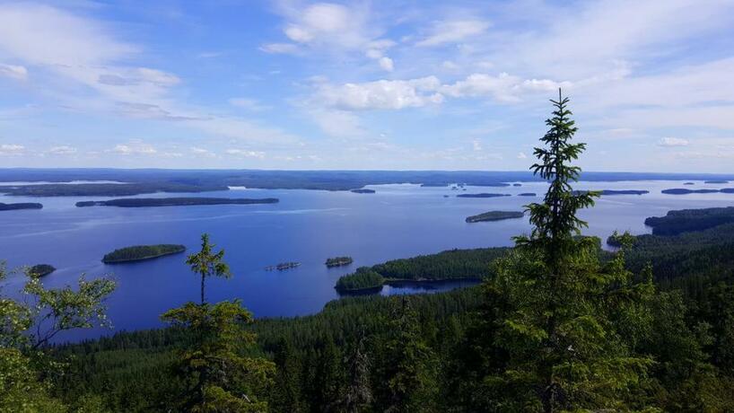 Imagen general del Lomakyl&auml; Timitraniemi. Foto 31