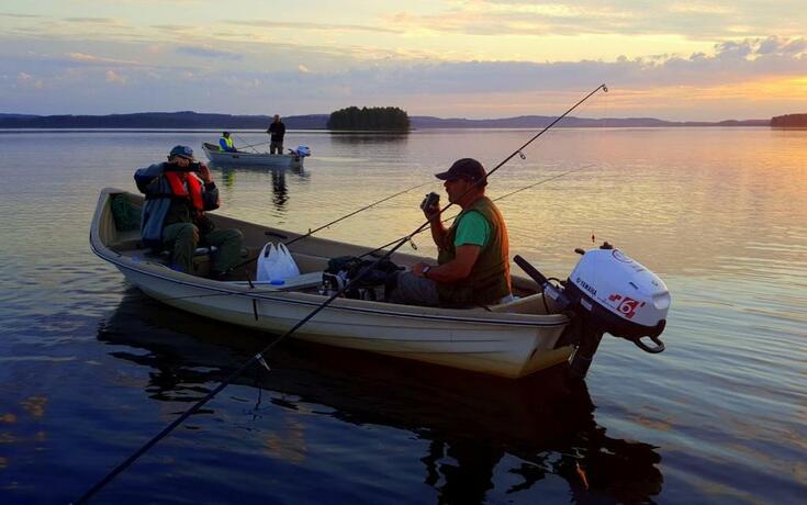 Imagen general del Lomakyl&auml; Timitraniemi. Foto 45