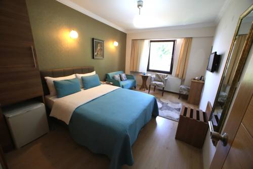 Imagen de la habitación del Lonca Butik Hotel. Foto 3