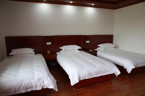 Imagen general del Longling Mountain Villa. Foto 3