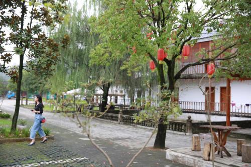 Imagen general del Longling Mountain Villa. Foto 6