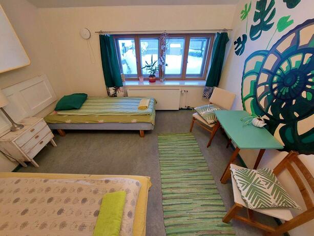 Imagen general del Looming Hostel. Foto 16