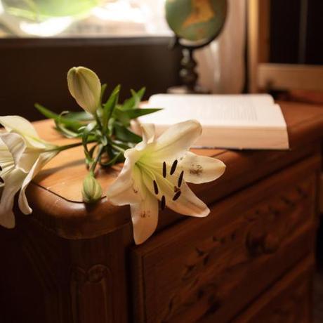 Imagen de la habitación del Los Amigos Hostel Tenerife. Foto 16