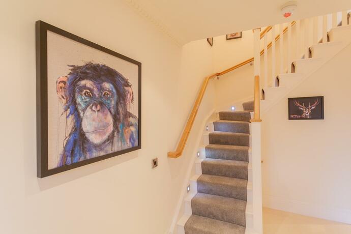 Imagen general del Lough Erne Apartments. Foto 36