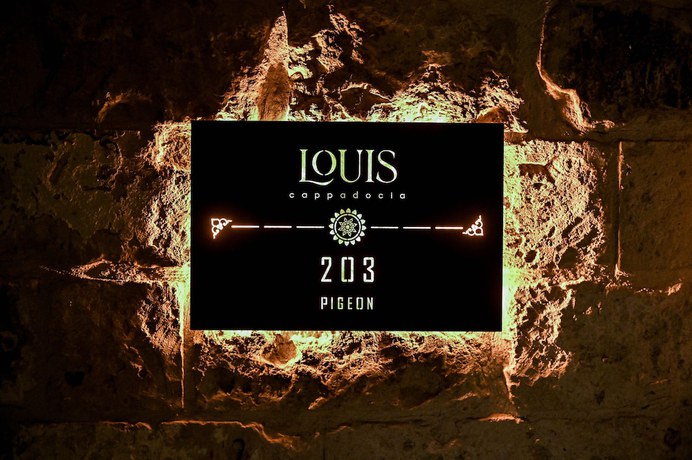 Imagen de la habitación del Louis Cappadocia. Foto 18
