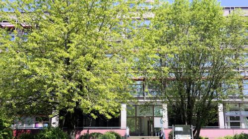 Imagen general del Low Budget Hostel. Foto 7