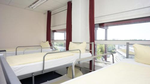 Imagen general del Low Budget Hostel. Foto 14