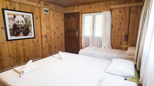 Imagen general del Luna Dorada Hotel. Foto 6