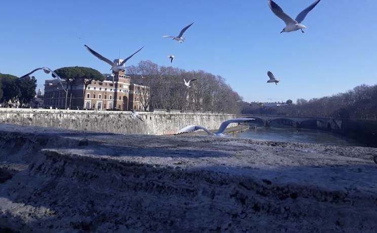 Imagen general del Lungotevere Collection Suite. Foto 4
