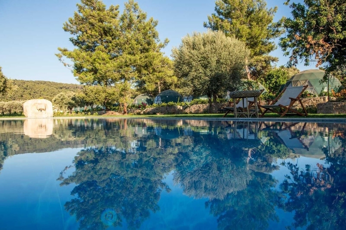 Imagen de la piscina del Lussoglamping. Foto 16