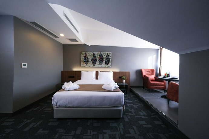 Imagen general del Luxon Hotel Sakarya. Foto 7