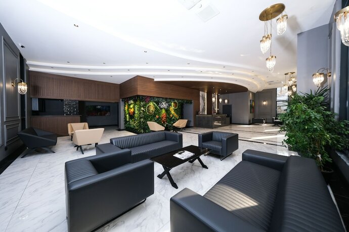 Imagen general del Luxon Hotel Sakarya. Foto 12