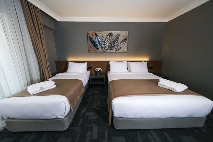 Imagen de la habitación del Luxon Hotel Sakarya. Foto 18