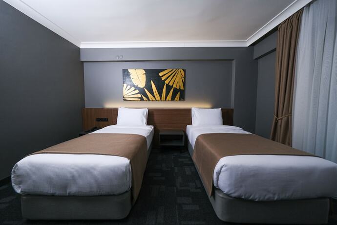 Imagen de la habitación del Luxon Hotel Sakarya. Foto 19