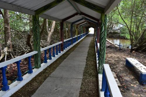 Imagen general del MANGLAR DE LAS GARZAS. Foto 14