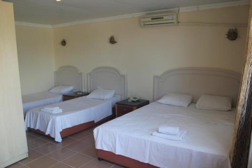 Imagen de la habitación del MAVİ SU TURİZM TARIM HAYVANCILIK İNŞ.SAN. VE TİC.LTD.ŞTİ. Foto 16