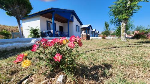 Imagen de la habitación del MAVİ SU TURİZM TARIM HAYVANCILIK İNŞ.SAN. VE TİC.LTD.ŞTİ. Foto 18