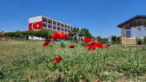 Imagen general del MAVİ SU TURİZM TARIM HAYVANCILIK İNŞ.SAN. VE TİC.LTD.ŞTİ. Foto 15