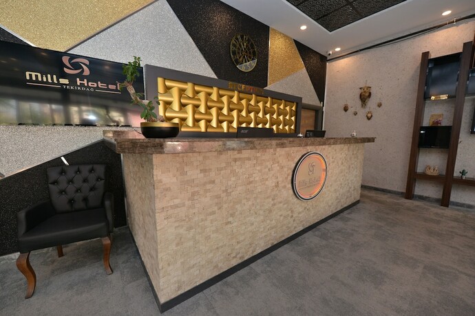 Imagen general del MILLS HOTEL. Foto 13