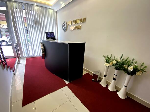 Imagen general del MY WORLD OTEL ÇORUM. Foto 1