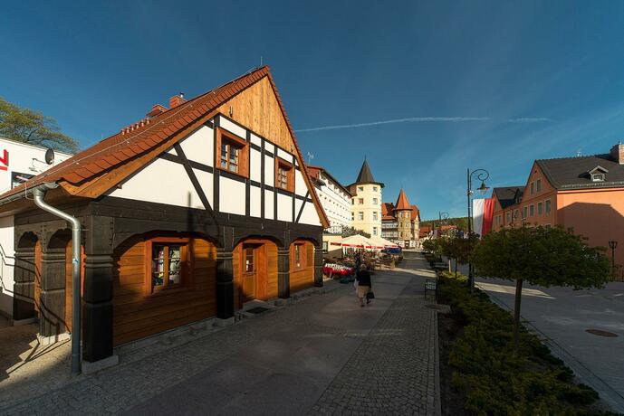 Imagen general del Magnolia, Swieradow-Zdroj. Foto 18