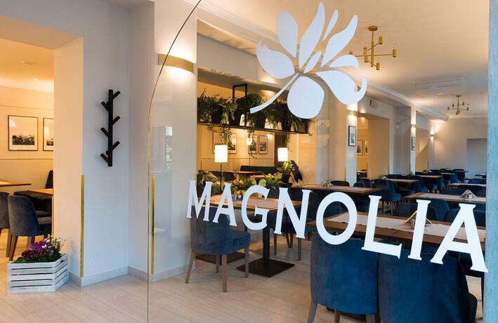 Imagen general del Magnolia, Swieradow-Zdroj. Foto 28