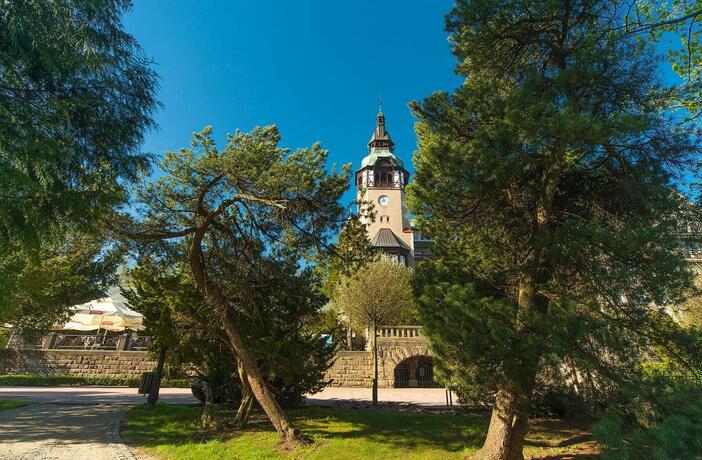 Imagen general del Magnolia, Swieradow-Zdroj. Foto 32
