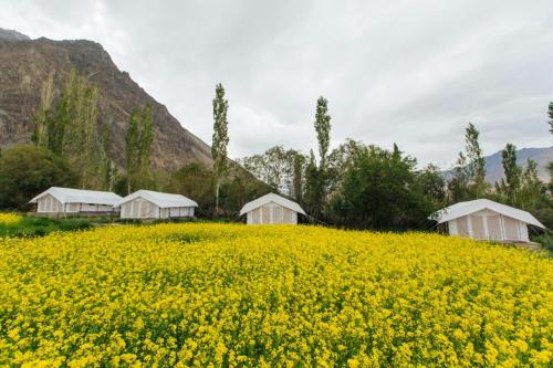 Imagen general del Magpie Camp Ladakh. Foto 2