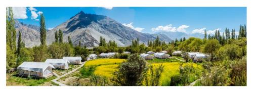 Imagen general del Magpie Camp Ladakh. Foto 3