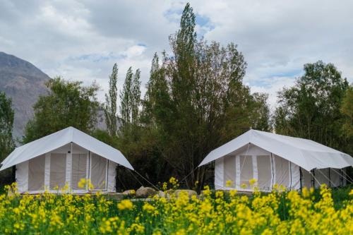Imagen de la habitación del Magpie Camp Ladakh. Foto 9