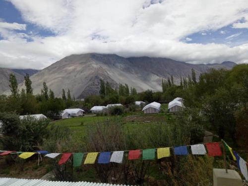 Imagen general del Magpie Camp Ladakh. Foto 5