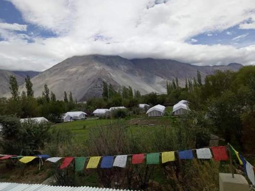 Imagen general del Magpie Camp Ladakh. Foto 6