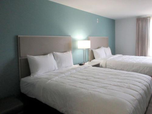 Imagen general del MainStay Suites, Chesapeake. Foto 4