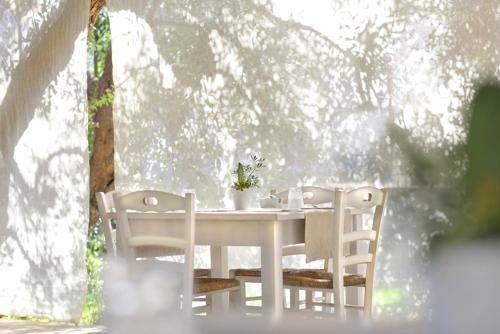 Imagen general del Maison D\'Enr&igrave;. Foto 4