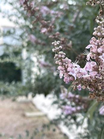 Imagen de la habitación del Maisons Parc des Mimosas. Foto 17