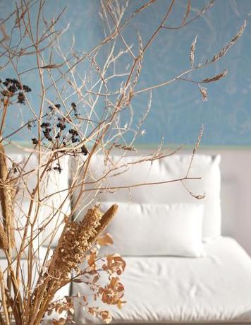 Imagen general del Maisons Parc des Mimosas. Foto 10