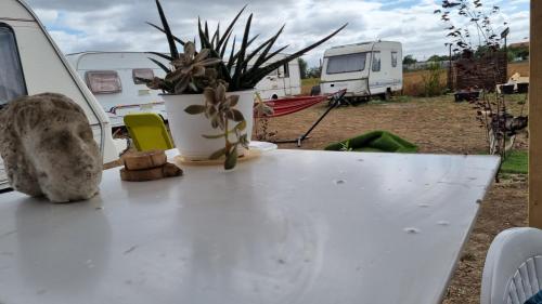 Imagen general del Makeeda Camping. Foto 9