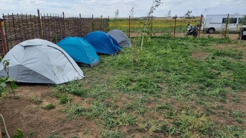 Imagen general del Makeeda Camping. Foto 11