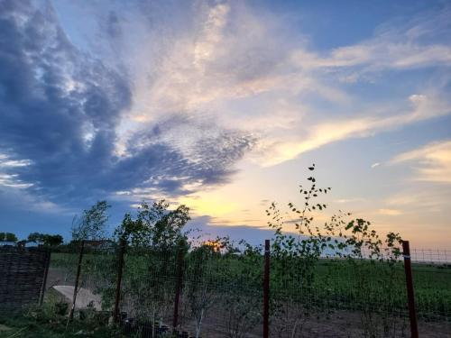 Imagen general del Makeeda Camping. Foto 15