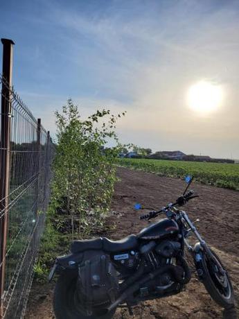 Imagen general del Makeeda Camping. Foto 17