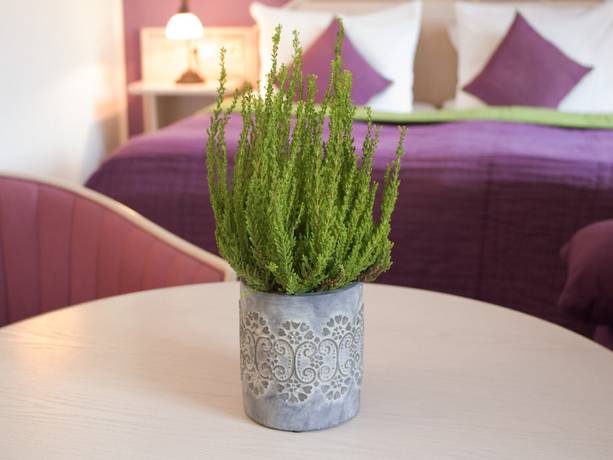 Imagen de la habitación del Malteser Komturei Hotel / Restaurant. Foto 17