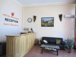 Imagen general del Mandarin. Foto 4