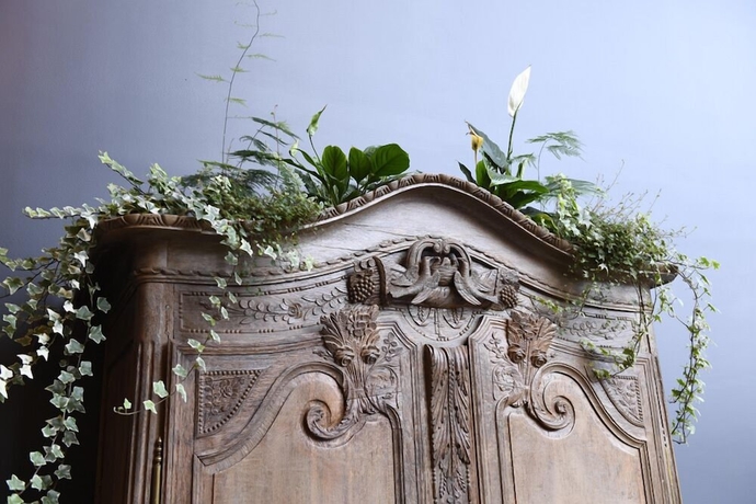 Imagen de los interiores del Manoir de l\'Eveche. Foto 17