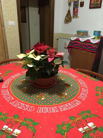 Imagen de los interiores del Marcelina. Foto 15