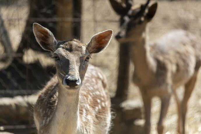 Imagen general del Maremma Country House. Foto 2