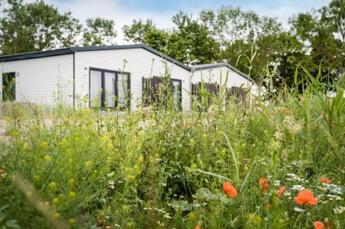 Imagen de la habitación del Marina Martinshafen. Foto 15